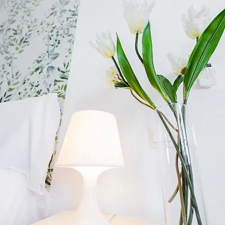 فيلة Monko Mieres *